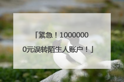 紧急！10000000元误转陌生人账户！