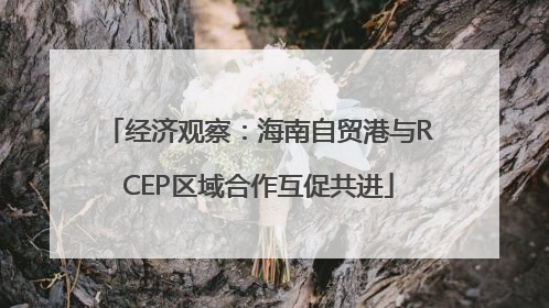 经济观察：海南自贸港与RCEP区域合作互促共进