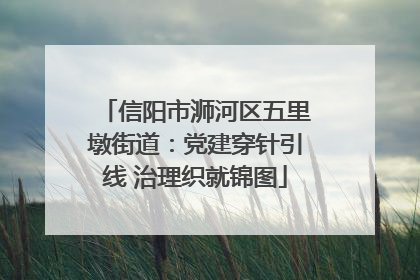 信阳市浉河区五里墩街道：党建穿针引线 治理织就锦图