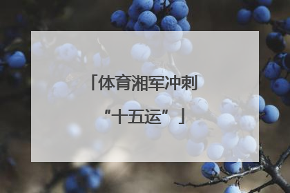 体育湘军冲刺“十五运”