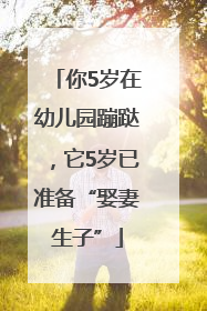 你5岁在幼儿园蹦跶，它5岁已准备“娶妻生子”
