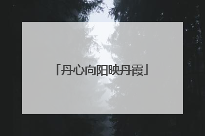 丹心向阳映丹霞