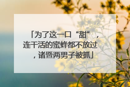 为了这一口“甜”，连干活的蜜蜂都不放过，诸暨两男子被抓