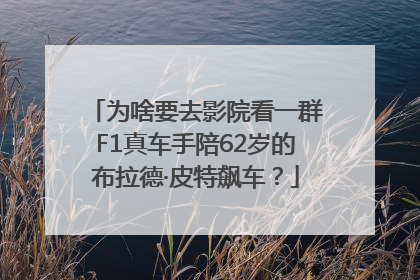 为啥要去影院看一群F1真车手陪62岁的布拉德·皮特飙车？