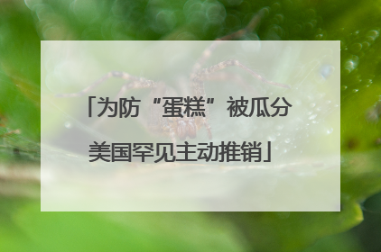为防“蛋糕”被瓜分 美国罕见主动推销