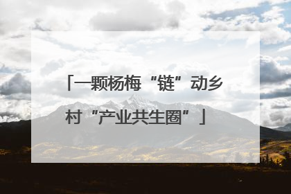 一颗杨梅“链”动乡村“产业共生圈”