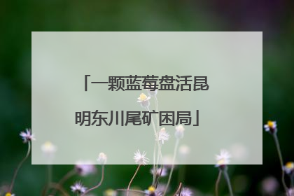 一颗蓝莓盘活昆明东川尾矿困局