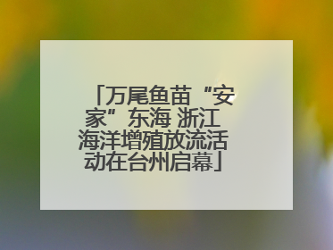 万尾鱼苗“安家”东海 浙江海洋增殖放流活动在台州启幕