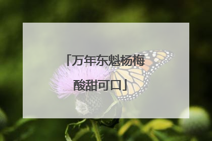 万年东魁杨梅 酸甜可口