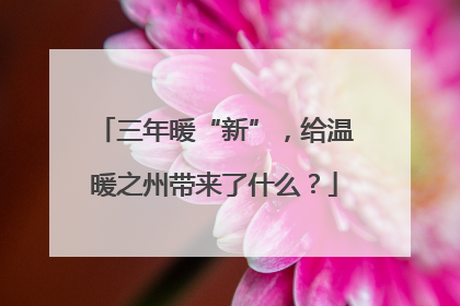 三年暖“新”，给温暖之州带来了什么？