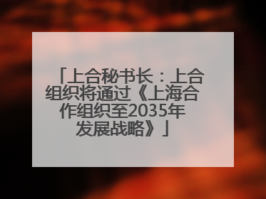 上合秘书长：上合组织将通过《上海合作组织至2035年发展战略》