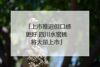 上市推迟但口感更好 四川水蜜桃将大量上市
