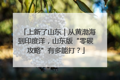 上新了山东｜从黄渤海到印度洋，山东版“零碳攻略”有多能打？