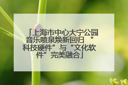 上海市中心大宁公园音乐喷泉焕新回归 “科技硬件”与“文化软件”完美融合