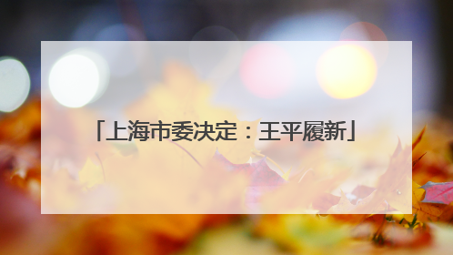 上海市委决定：王平履新