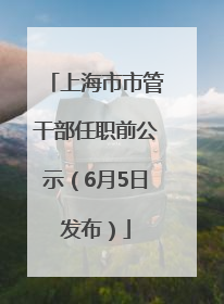 上海市市管干部任职前公示（6月5日发布）