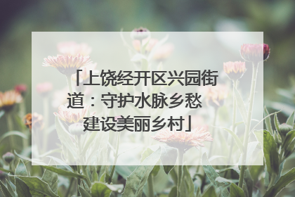 上饶经开区兴园街道：守护水脉乡愁 建设美丽乡村