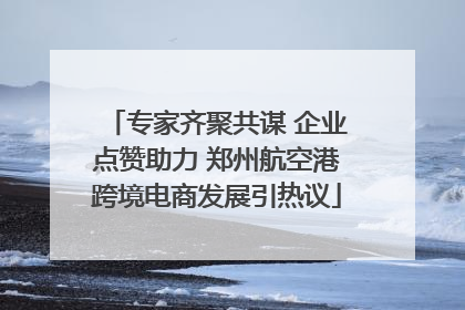 专家齐聚共谋 企业点赞助力 郑州航空港跨境电商发展引热议