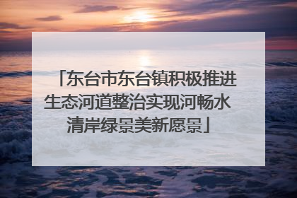 东台市东台镇积极推进生态河道整治实现河畅水清岸绿景美新愿景