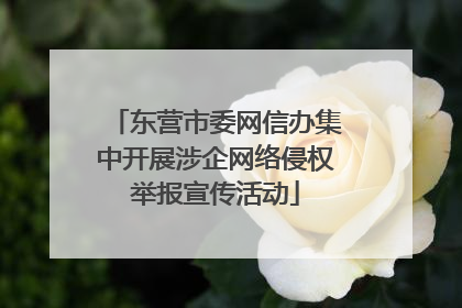 东营市委网信办集中开展涉企网络侵权举报宣传活动
