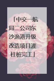 中交一航局二公司东沙渔港升级改造项目灌柱桩完工