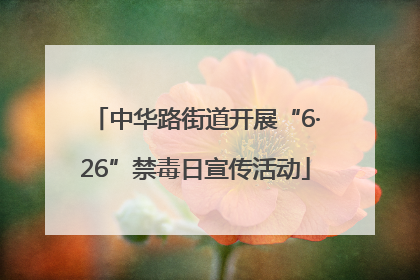 中华路街道开展“6·26”禁毒日宣传活动