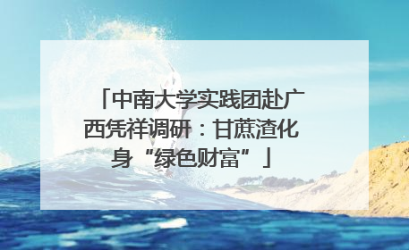 中南大学实践团赴广西凭祥调研：甘蔗渣化身“绿色财富”
