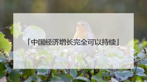 中国经济增长完全可以持续
