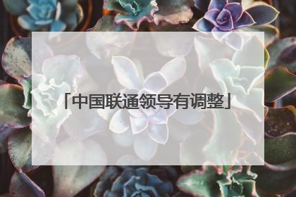 中国联通领导有调整