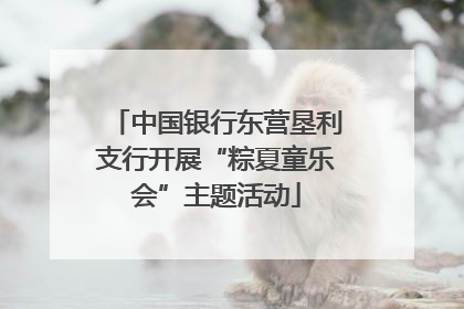 中国银行东营垦利支行开展“粽夏童乐会”主题活动