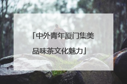 中外青年厦门集美品味茶文化魅力