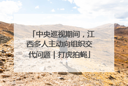 中央巡视期间，江西多人主动向组织交代问题｜打虎拍蝇