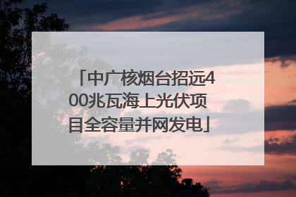 中广核烟台招远400兆瓦海上光伏项目全容量并网发电