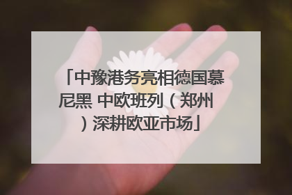 中豫港务亮相德国慕尼黑 中欧班列（郑州）深耕欧亚市场