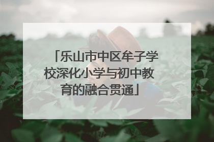 乐山市中区牟子学校深化小学与初中教育的融合贯通