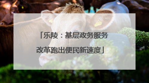 乐陵：基层政务服务改革跑出便民新速度