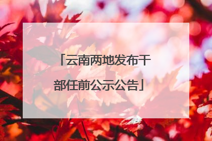 云南两地发布干部任前公示公告
