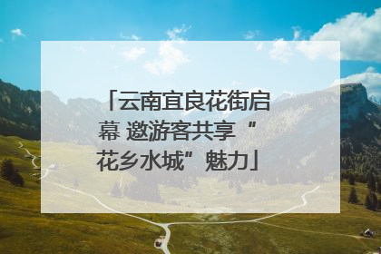 云南宜良花街启幕 邀游客共享“花乡水城”魅力
