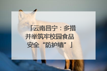 云南昌宁：多措并举筑牢校园食品安全“防护墙”