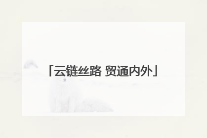 云链丝路 贸通内外