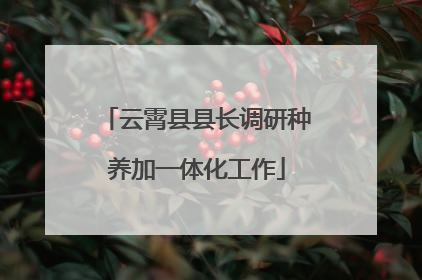 云霄县县长调研种养加一体化工作