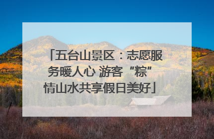 五台山景区：志愿服务暖人心 游客“粽”情山水共享假日美好