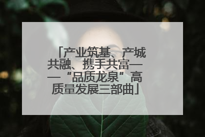 产业筑基、产城共融、携手共富——“品质龙泉”高质量发展三部曲