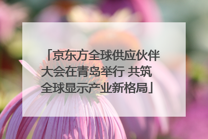 京东方全球供应伙伴大会在青岛举行 共筑全球显示产业新格局
