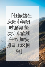 任振鹤在庆阳市调研时强调 坚决守牢底线任务 加快推动老区振兴