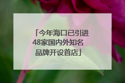 今年海口已引进48家国内外知名品牌开设首店