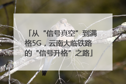从“信号真空”到满格5G，云南大临铁路的“信号升格”之路