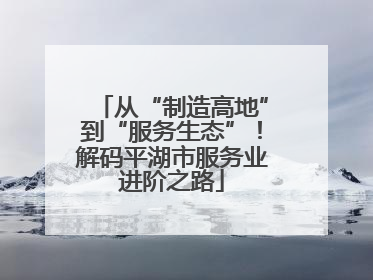从“制造高地”到“服务生态”！解码平湖市服务业进阶之路