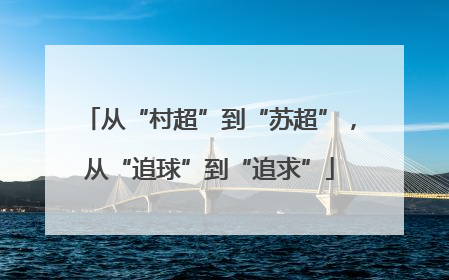 从“村超”到“苏超”，从“追球”到“追求”
