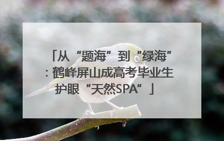 从“题海”到“绿海”：鹤峰屏山成高考毕业生护眼“天然SPA”